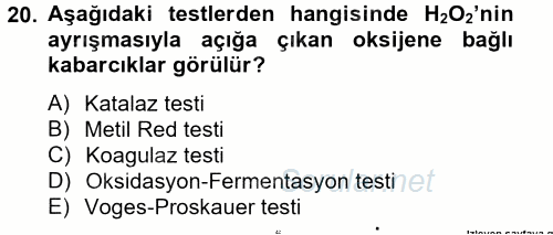 Temel Veteriner Mikrobiyoloji ve İmmünoloji 2014 - 2015 Ara Sınavı 20.Soru