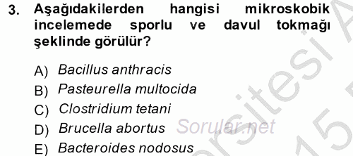 Temel Veteriner Mikrobiyoloji ve İmmünoloji 2014 - 2015 Ara Sınavı 3.Soru