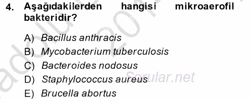 Temel Veteriner Mikrobiyoloji ve İmmünoloji 2014 - 2015 Ara Sınavı 4.Soru