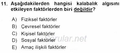 İletişim Bilgisi 2015 - 2016 Ara Sınavı 11.Soru
