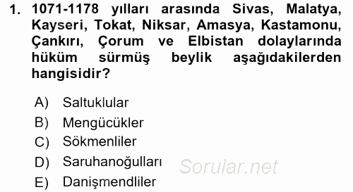 Orta Çağ ve Yeni Çağ Türk Devletleri Tarihi 2016 - 2017 Dönem Sonu Sınavı 1.Soru