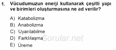İnsan Anatomisi Ve Fizyolojisi 2012 - 2013 Ara Sınavı 1.Soru