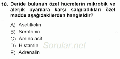 İnsan Anatomisi Ve Fizyolojisi 2012 - 2013 Ara Sınavı 10.Soru