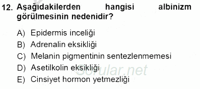 İnsan Anatomisi Ve Fizyolojisi 2012 - 2013 Ara Sınavı 12.Soru