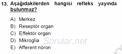 İnsan Anatomisi Ve Fizyolojisi 2012 - 2013 Ara Sınavı 13.Soru