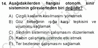 İnsan Anatomisi Ve Fizyolojisi 2012 - 2013 Ara Sınavı 14.Soru