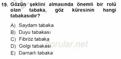 İnsan Anatomisi Ve Fizyolojisi 2012 - 2013 Ara Sınavı 19.Soru