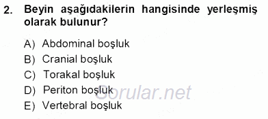 İnsan Anatomisi Ve Fizyolojisi 2012 - 2013 Ara Sınavı 2.Soru