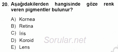 İnsan Anatomisi Ve Fizyolojisi 2012 - 2013 Ara Sınavı 20.Soru