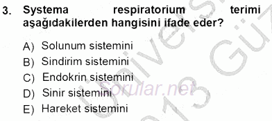 İnsan Anatomisi Ve Fizyolojisi 2012 - 2013 Ara Sınavı 3.Soru
