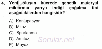 İnsan Anatomisi Ve Fizyolojisi 2012 - 2013 Ara Sınavı 4.Soru