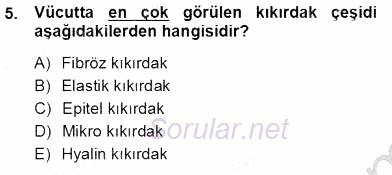 İnsan Anatomisi Ve Fizyolojisi 2012 - 2013 Ara Sınavı 5.Soru