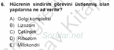 İnsan Anatomisi Ve Fizyolojisi 2012 - 2013 Ara Sınavı 6.Soru