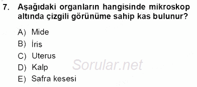 İnsan Anatomisi Ve Fizyolojisi 2012 - 2013 Ara Sınavı 7.Soru