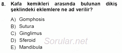İnsan Anatomisi Ve Fizyolojisi 2012 - 2013 Ara Sınavı 8.Soru