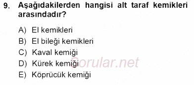 İnsan Anatomisi Ve Fizyolojisi 2012 - 2013 Ara Sınavı 9.Soru