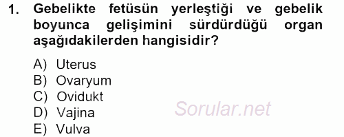 Doğum Bilgisi ve Suni Tohumlama 2012 - 2013 Ara Sınavı 1.Soru