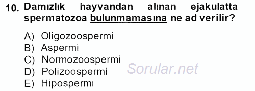 Doğum Bilgisi ve Suni Tohumlama 2012 - 2013 Ara Sınavı 10.Soru