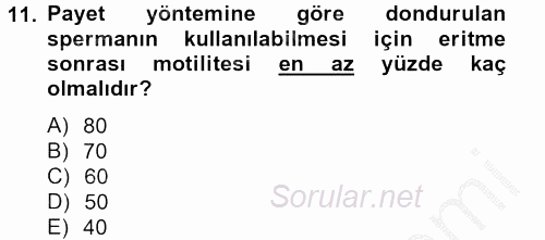 Doğum Bilgisi ve Suni Tohumlama 2012 - 2013 Ara Sınavı 11.Soru