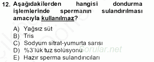 Doğum Bilgisi ve Suni Tohumlama 2012 - 2013 Ara Sınavı 12.Soru