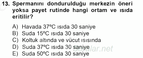 Doğum Bilgisi ve Suni Tohumlama 2012 - 2013 Ara Sınavı 13.Soru