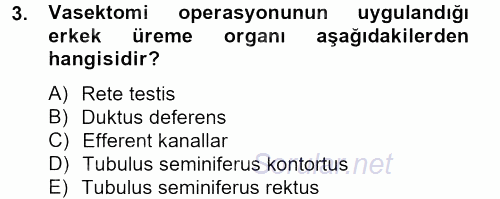 Doğum Bilgisi ve Suni Tohumlama 2012 - 2013 Ara Sınavı 3.Soru