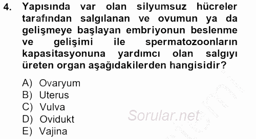 Doğum Bilgisi ve Suni Tohumlama 2012 - 2013 Ara Sınavı 4.Soru