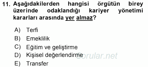 Performans ve Kariyer Yönetimi 2015 - 2016 Tek Ders Sınavı 11.Soru