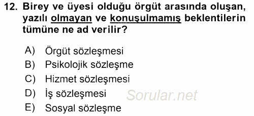 Performans ve Kariyer Yönetimi 2015 - 2016 Tek Ders Sınavı 12.Soru