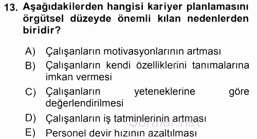 Performans ve Kariyer Yönetimi 2015 - 2016 Tek Ders Sınavı 13.Soru