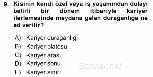 Performans ve Kariyer Yönetimi 2015 - 2016 Tek Ders Sınavı 9.Soru