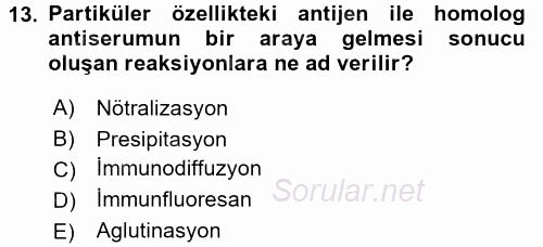 Temel Veteriner Mikrobiyoloji ve İmmünoloji 2016 - 2017 3 Ders Sınavı 13.Soru