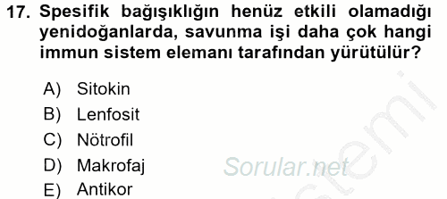 Temel Veteriner Mikrobiyoloji ve İmmünoloji 2016 - 2017 3 Ders Sınavı 17.Soru