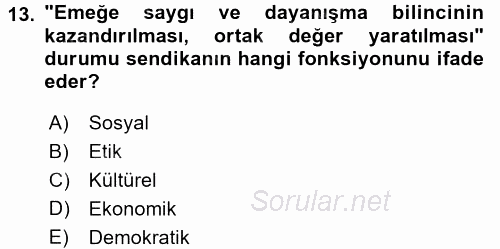 Psikoloji 2016 - 2017 Dönem Sonu Sınavı 13.Soru