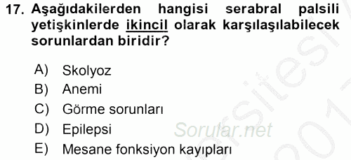 Özel Gereksinimli Bireyler ve Bakım Hizmetleri 2016 - 2017 3 Ders Sınavı 17.Soru