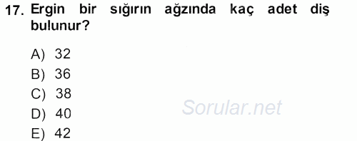 Temel Veteriner Anatomi 2013 - 2014 Ara Sınavı 17.Soru