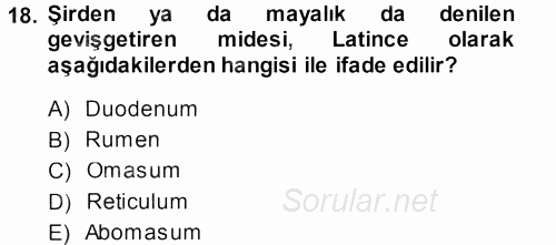 Temel Veteriner Anatomi 2013 - 2014 Ara Sınavı 18.Soru