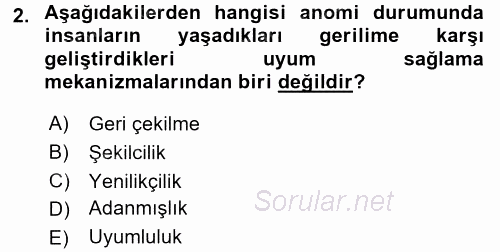 Suç Sosyolojisi 2016 - 2017 3 Ders Sınavı 2.Soru
