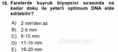 Laboratuvar Hayvanlarını Yetiştirme ve Sağlığı 2017 - 2018 Dönem Sonu Sınavı 16.Soru