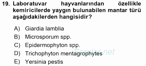 Laboratuvar Hayvanlarını Yetiştirme ve Sağlığı 2017 - 2018 Dönem Sonu Sınavı 19.Soru