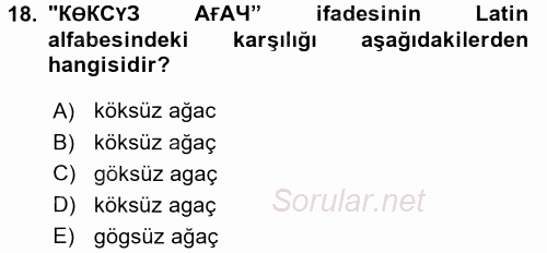 Çağdaş Türk Yazı Dilleri 1 2016 - 2017 Ara Sınavı 18.Soru