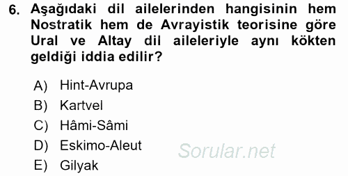 Çağdaş Türk Yazı Dilleri 1 2016 - 2017 Ara Sınavı 6.Soru