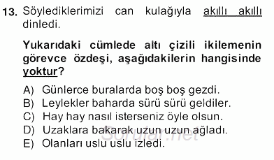 Türkçe Biçim Bilgisi 2013 - 2014 Ara Sınavı 13.Soru