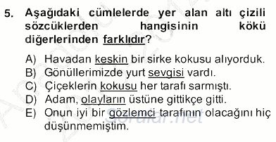 Türkçe Biçim Bilgisi 2013 - 2014 Ara Sınavı 5.Soru