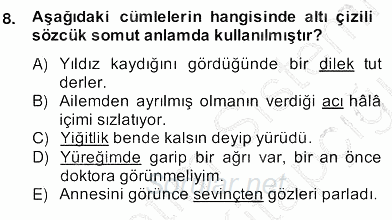 Türkçe Biçim Bilgisi 2013 - 2014 Ara Sınavı 8.Soru