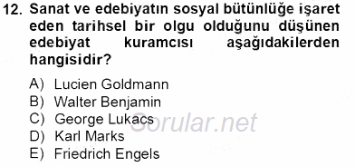 Eleştiri Kuramları 2013 - 2014 Tek Ders Sınavı 12.Soru