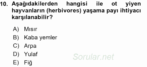 Temel Yem Bilgisi ve Hayvan Besleme 2015 - 2016 Ara Sınavı 10.Soru