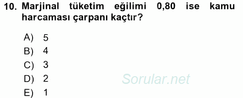 Vergi Teorisi 2015 - 2016 Dönem Sonu Sınavı 10.Soru