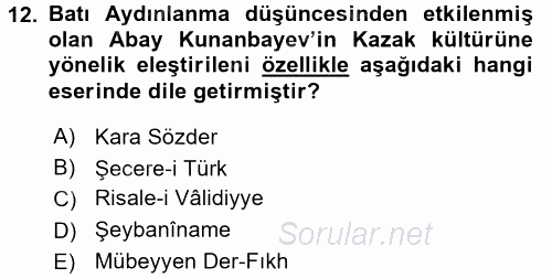 XIX. Yüzyıl Türk Dünyası 2017 - 2018 Dönem Sonu Sınavı 12.Soru