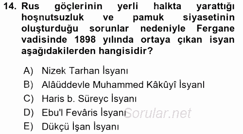 XIX. Yüzyıl Türk Dünyası 2017 - 2018 Dönem Sonu Sınavı 14.Soru
